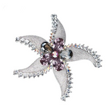 Eve's Crystal Starfish Classic Brooch